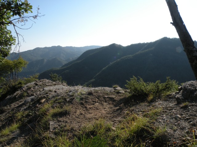 PASSIONE PER IL CERVO